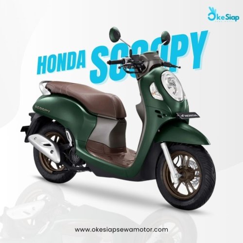 Scoopy